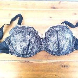 Paramour Nude and Black Lace Bra 34H